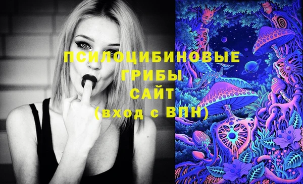 ГАЛЛЮЦИНОГЕННЫЕ ГРИБЫ Белоозёрский