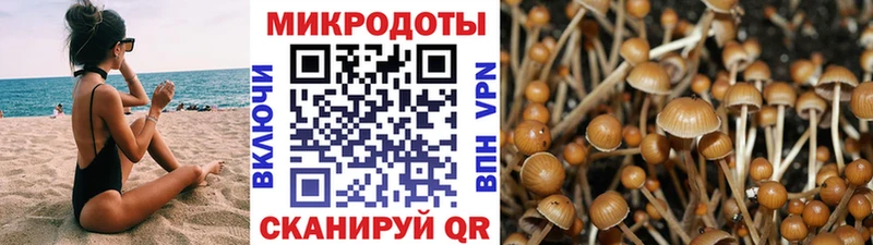 OMG как зайти  где можно купить   Буйнакск  Псилоцибиновые грибы мухоморы 