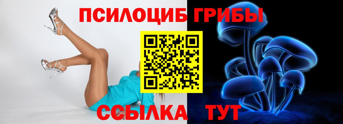 Буйнакск  Галлюциногенные грибы Cubensis  Вход с VPN 